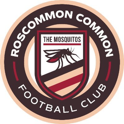 We are The Mosquitos. New member of The Northern Michigan Faux Football Leagues.