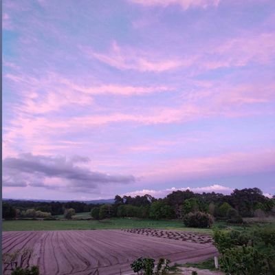 braisbt0xain's profile picture. 