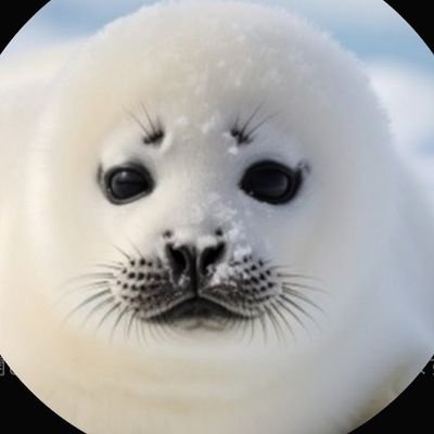 FionaSkerry's profile picture. 十代女子です！趣味→音楽鑑賞、ギター、ゲーム、カラオケ、英語、ピアノ /DM返信、コメ返できませんが、すべて拝見してます/ YouTube登録していただけるとうれしいです！サブ垢@FionaSkerry2

 #フォロー返しします #ギター #フォロバ100変なアカ以外 #guitar