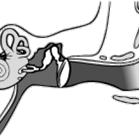 centhuit (@dmm_tec) 's Twitter Profile