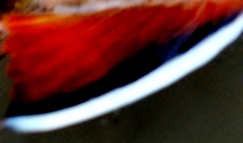 Writer, fly fisherman, kayaker, backpacker, blogger and Master-in-Chief at http://t.co/FmILPkJhlI