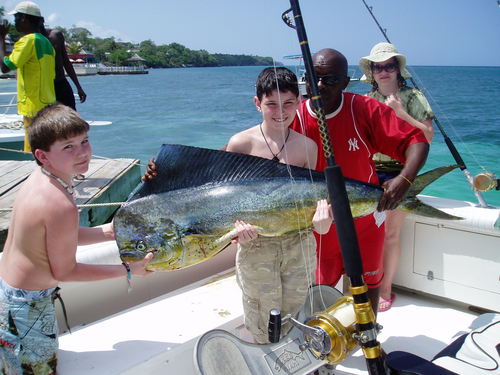 daleknox's profile picture. 