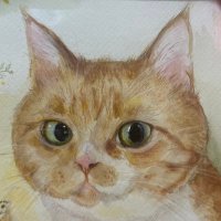 chikuwa(ちくわ) (@tnrtm_8000) 's Twitter Profile