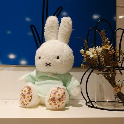 lolonica🌹🌱さんのプロフィール画像