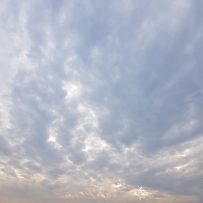 bosss298's profile picture. 