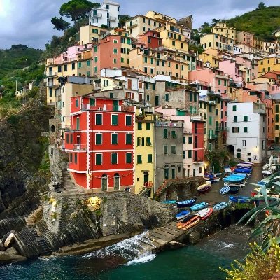 ElectricBerry1's profile picture. 