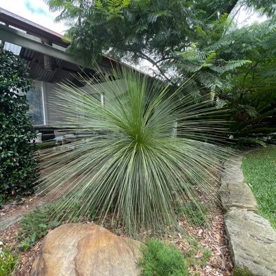 BrianWardhaugh's profile picture. surfer and constant gardener