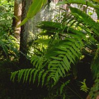 Kyohey (@kyohey_satylus) 's Twitter Profile Photo