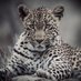 SimonΓ© Venter (@simone_venter1) Twitter profile photo SimonΓ© Venter (@simone_venter1) Twitter profile photo