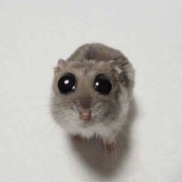 ID/EN || my other side || mixed twts, mostly abt val