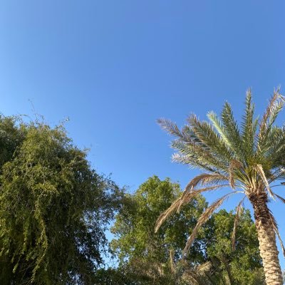 hyha_net's profile picture. رئيس تحرير صحيفة اناالشعب (توقفت)