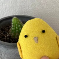 こだまりも (@kodamarimo) 's Twitter Profile Photo こだまりも (@kodamarimo) 's Twitter Profile Photo