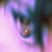 . . . (@suffrng) Twitter profile photo . . . (@suffrng) Twitter profile photo