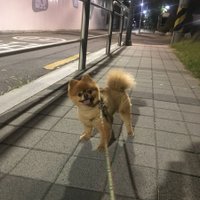 SilverLining (@w7dio63e2yi4hc) 's Twitter Profile