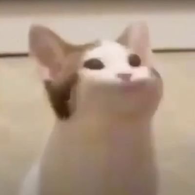 daniellenoctrne's profile picture. ¿O vas anunciando acaso,
soplo del alba naciente...?
💛🤍💜🖤
   🖤🐭🤍💜
      💚🤍🦝🖤

(Elle/Ella; Ŝi/Ri; She) 🪲🌿