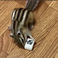 まゆ⚡️🥂 (@mayu20_61552812) 's Twitter Profile Photo まゆ⚡️🥂 (@mayu20_61552812) 's Twitter Profile Photo