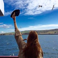 HoneyToynbee (@5f12230zd49kmx) 's Twitter Profile