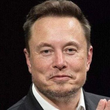 🚀| Spacex • CEO & CTO
🚔| Tesla • CEO and Product architect 
🚄| Hyperloop • Founder 
🧩| OpenAI • Co-founder