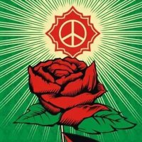 Humanity 🌍🍀 ☮️ (@cfortunee) 's Twitter Profile Photo