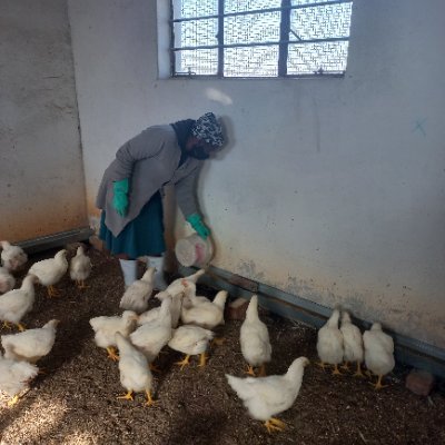 Farmer /South African