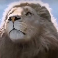 Bharat Negi (@bharatnegi9211) 's Twitter Profile