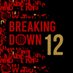 BreakingDown / ブレイキングダウン (@breakingdown_jp) Twitter profile photo
