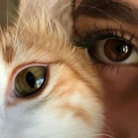 Sude (@_sudemy) 's Twitter Profile