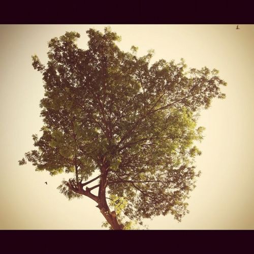 aasthaa's profile picture. Soul food chef