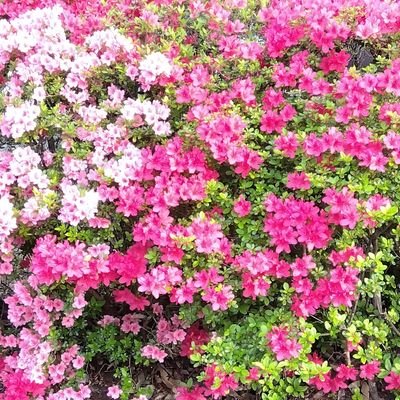 6WiscJzx968135's profile picture. 