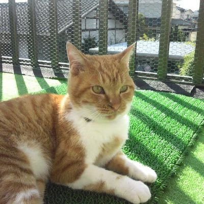 NamiTakach's profile picture. 