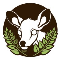 🌿Fern and Fallow𐂂 (@fernandfallow) 's Twitter Profile