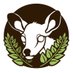 🌿Fern and Fallow𐂂 (@fernandfallow) Twitter profile photo 🌿Fern and Fallow𐂂 (@fernandfallow) Twitter profile photo
