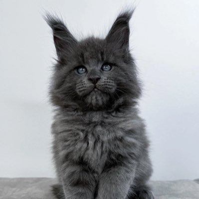 sicsm9's profile picture. Crypto Degen | Defi |Arbitrageur|. Culer