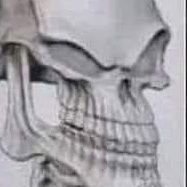 440Jessael's profile picture. Hola... :D