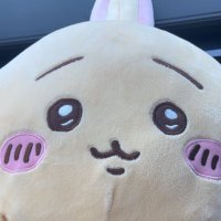 めぐみ🐰 ̖́- (@chikawa_usacha) 's Twitter Profile