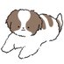 PINO@FANG+SP500 (@pinomaru0904) Twitter profile photo PINO@FANG+SP500 (@pinomaru0904) Twitter profile photo