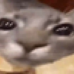 laurencepro99's profile picture. youtube: https://t.co/K3h0KqPxih