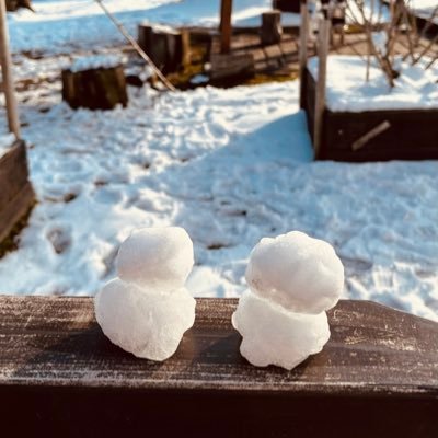 doomsatellite's profile picture. よろしくお願いします