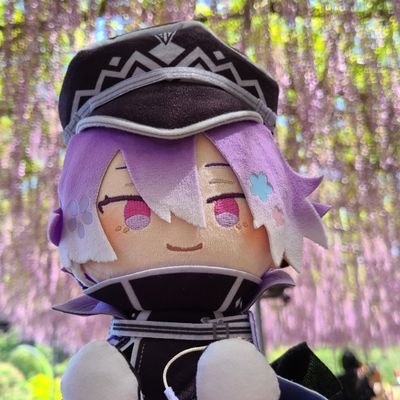 いぶ助さんのプロフィール画像