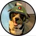 Maylee the Rescue Pup (@MayleePup) Twitter profile photo