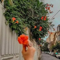 Narges Mozafari poor (@narges11990) 's Twitter Profile