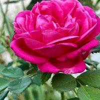 المارد (@elomaryfatma) Twitter profile photo
