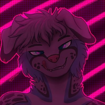 Shep_thingy Profile Picture