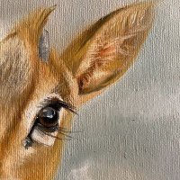 غــزالـــــ🦌ــــة الـــبــدو (@x3deer) 's Twitter Profile