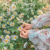Eman Hamed (@emanham77974567) 's Twitter Profile