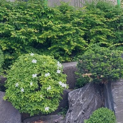 seio_nk's profile picture. 덕질계