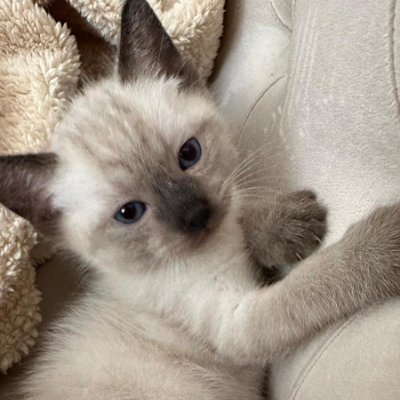 Ab_984's profile picture. FancylineFL™️ #Master in IT,  IPDA algorithm #ICT daytrading, gamedev.