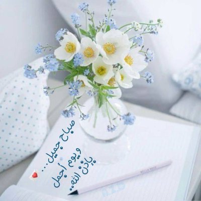 alnoor920's profile picture. 