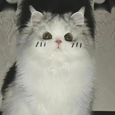 primithagita's profile picture. 