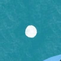 白灯油さんのプロフィール画像